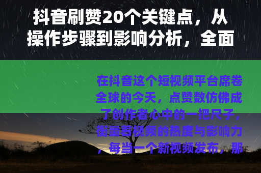 抖音刷赞20个关键点，从操作步骤到影响分析，全面解析刷赞现象