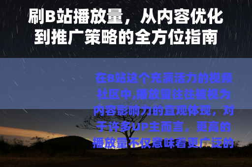 刷B站播放量，从内容优化到推广策略的全方位指南