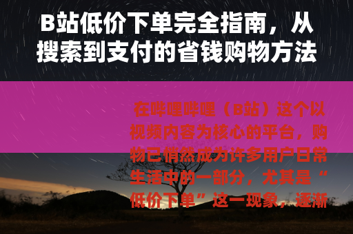 B站低价下单完全指南，从搜索到支付的省钱购物方法详解