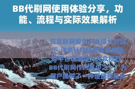 BB代刷网使用体验分享，功能、流程与实际效果解析