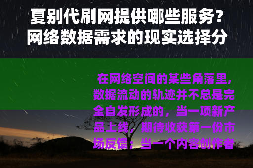 夏别代刷网提供哪些服务？网络数据需求的现实选择分析