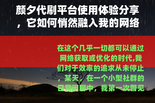 颜夕代刷平台使用体验分享，它如何悄然融入我的网络生活