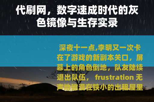 代刷网，数字速成时代的灰色镜像与生存实录