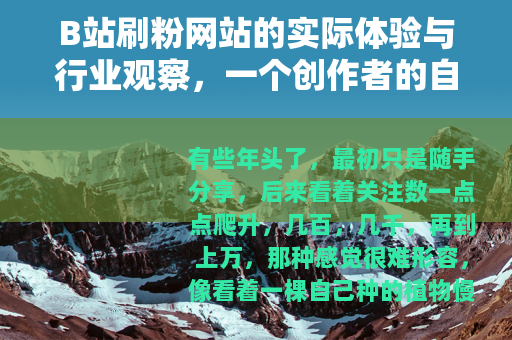 B站刷粉网站的实际体验与行业观察，一个创作者的自述