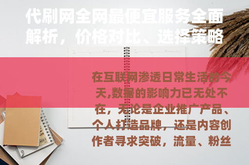 代刷网全网最便宜服务全面解析，价格对比、选择策略与用户体验分享