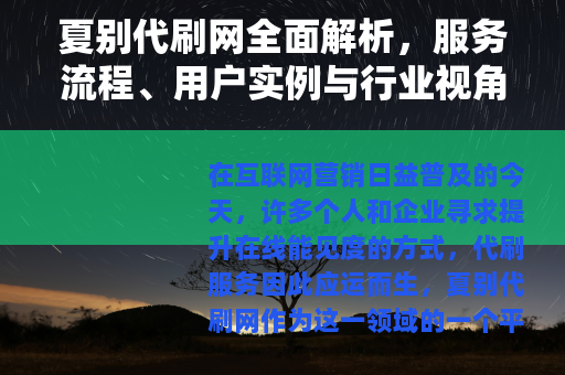 夏别代刷网全面解析，服务流程、用户实例与行业视角分享