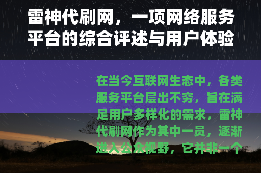雷神代刷网，一项网络服务平台的综合评述与用户体验深度分享