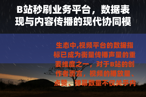 B站秒刷业务平台，数据表现与内容传播的现代协同模式