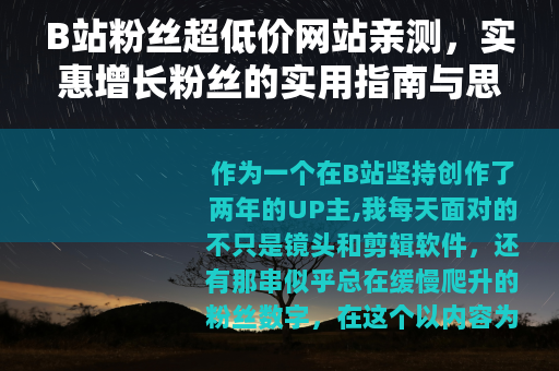 B站粉丝超低价网站亲测，实惠增长粉丝的实用指南与思考