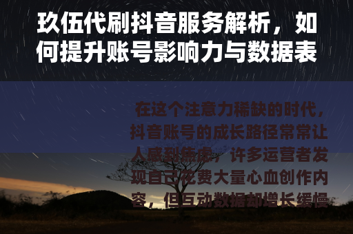 玖伍代刷抖音服务解析，如何提升账号影响力与数据表现