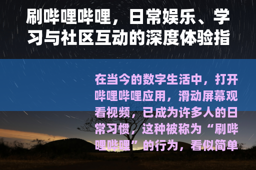 刷哔哩哔哩，日常娱乐、学习与社区互动的深度体验指南