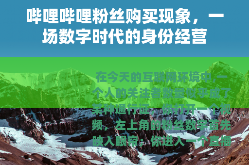 哔哩哔哩粉丝购买现象，一场数字时代的身份经营
