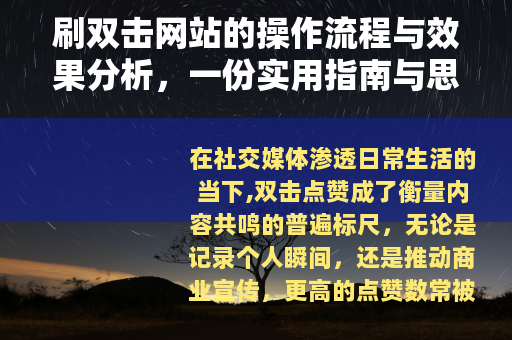刷双击网站的操作流程与效果分析，一份实用指南与思考
