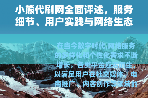 小熊代刷网全面评述，服务细节、用户实践与网络生态影响分析