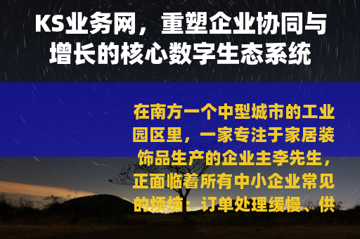 KS业务网，重塑企业协同与增长的核心数字生态系统
