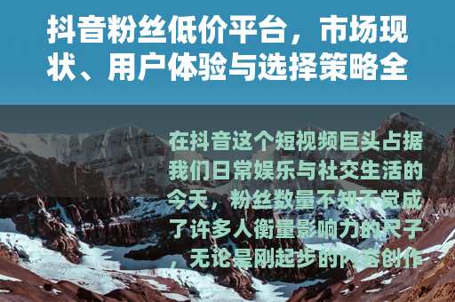抖音粉丝低价平台，市场现状、用户体验与选择策略全解析