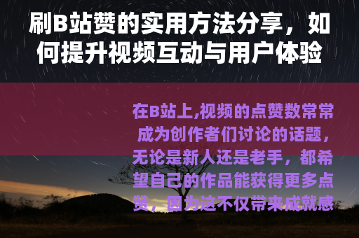 刷B站赞的实用方法分享，如何提升视频互动与用户体验