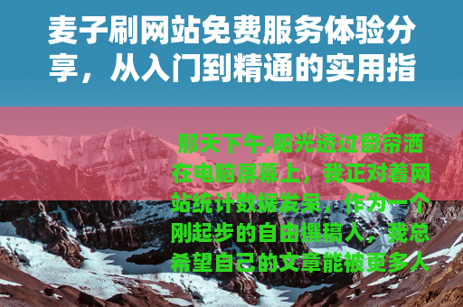 麦子刷网站免费服务体验分享，从入门到精通的实用指南