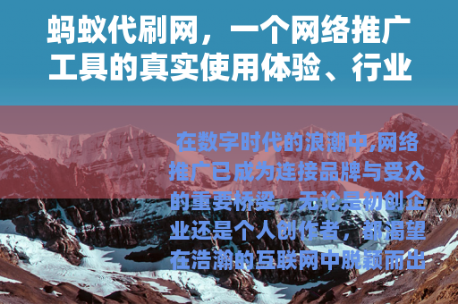 蚂蚁代刷网，一个网络推广工具的真实使用体验、行业分析与未来展望