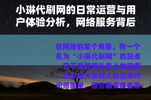 小琳代刷网的日常运营与用户体验分析，网络服务背后的实际生态观察
