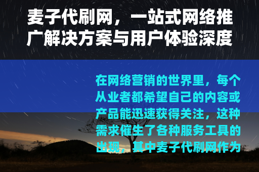 麦子代刷网，一站式网络推广解决方案与用户体验深度分享