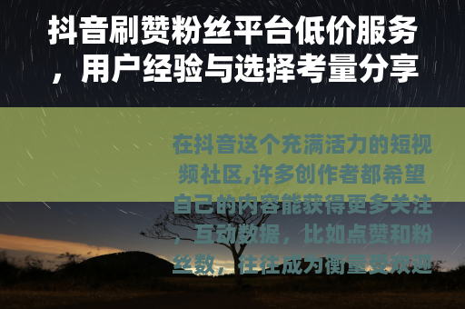 抖音刷赞粉丝平台低价服务，用户经验与选择考量分享