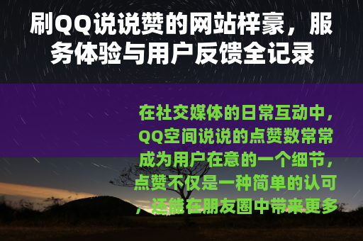 刷QQ说说赞的网站梓豪，服务体验与用户反馈全记录