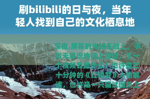 刷bilibili的日与夜，当年轻人找到自己的文化栖息地