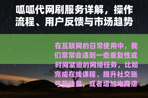 呱呱代网刷服务详解，操作流程、用户反馈与市场趋势