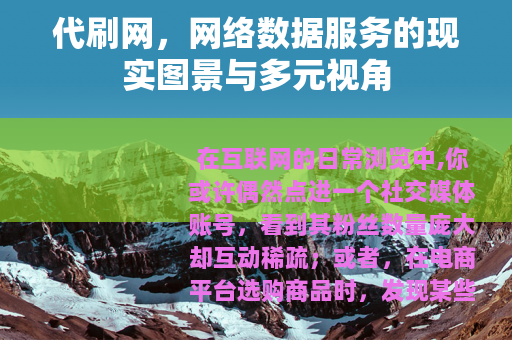 代刷网，网络数据服务的现实图景与多元视角