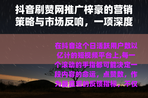 抖音刷赞网推广梓豪的营销策略与市场反响，一项深度案例分析