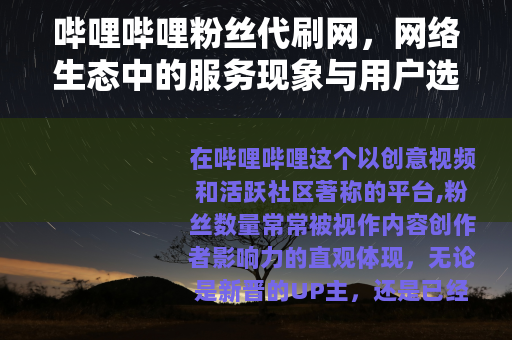 哔哩哔哩粉丝代刷网，网络生态中的服务现象与用户选择分析