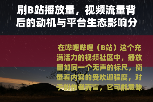 刷B站播放量，视频流量背后的动机与平台生态影响分析