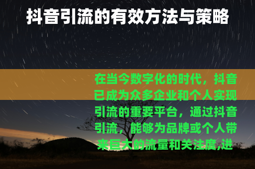 抖音引流的有效方法与策略