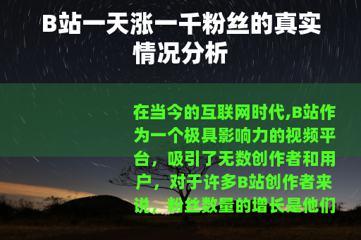 B站一天涨一千粉丝的真实情况分析