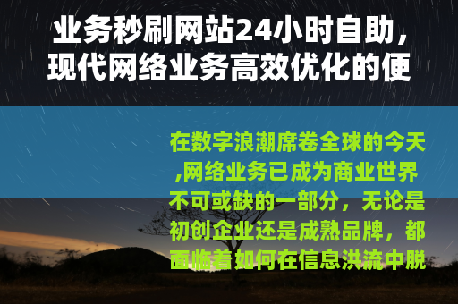 业务秒刷网站24小时自助，现代网络业务高效优化的便捷工具