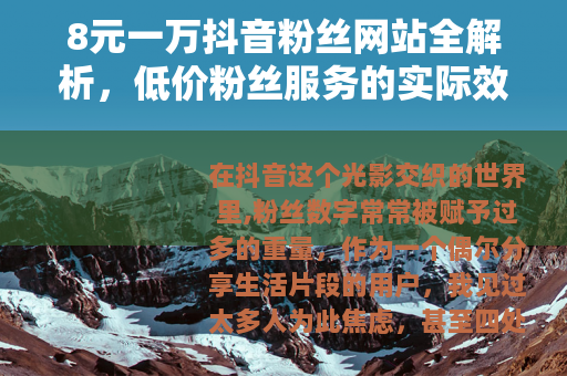 8元一万抖音粉丝网站全解析，低价粉丝服务的实际效果与用户评价