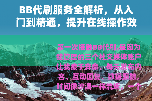 BB代刷服务全解析，从入门到精通，提升在线操作效率的实用方法