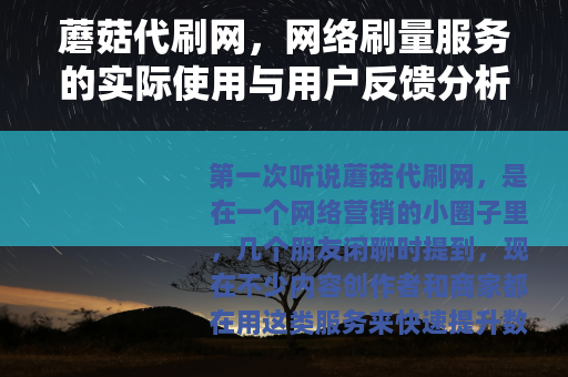蘑菇代刷网，网络刷量服务的实际使用与用户反馈分析