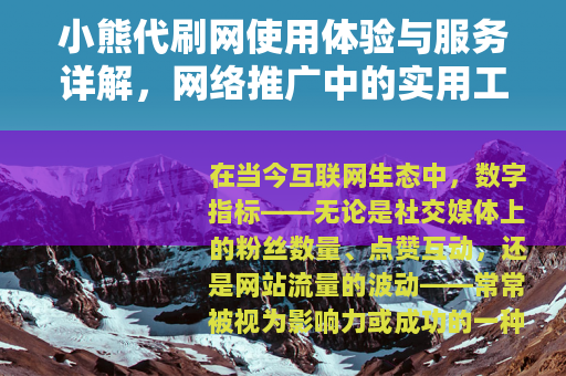 小熊代刷网使用体验与服务详解，网络推广中的实用工具与操作指南