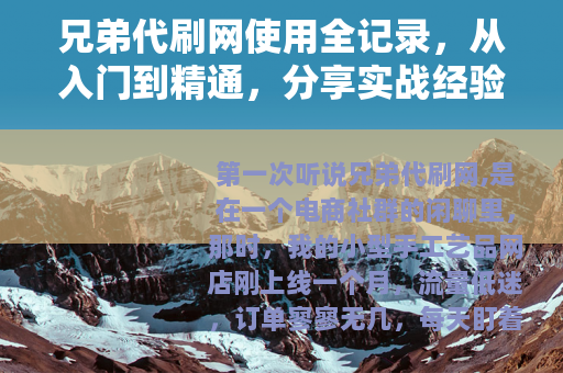 兄弟代刷网使用全记录，从入门到精通，分享实战经验与行业思考