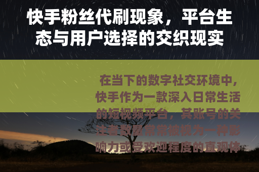 快手粉丝代刷现象，平台生态与用户选择的交织现实