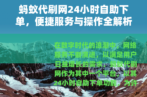 蚂蚁代刷网24小时自助下单，便捷服务与操作全解析