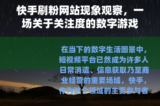 快手刷粉网站现象观察，一场关于关注度的数字游戏