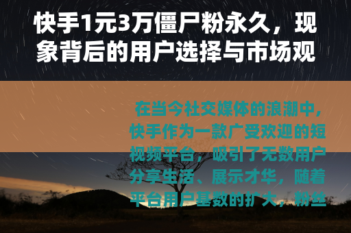 快手1元3万僵尸粉永久，现象背后的用户选择与市场观察