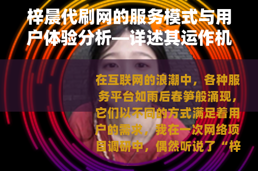 梓晨代刷网的服务模式与用户体验分析—详述其运作机制与市场定位