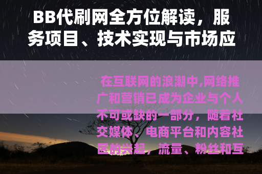 BB代刷网全方位解读，服务项目、技术实现与市场应用深度分析