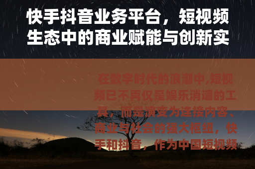 快手抖音业务平台，短视频生态中的商业赋能与创新实践