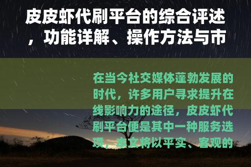 皮皮虾代刷平台的综合评述，功能详解、操作方法与市场动态