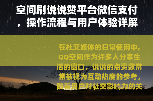 空间刷说说赞平台微信支付，操作流程与用户体验详解